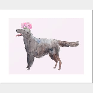 Flatcoated retriever with flower Posters and Art